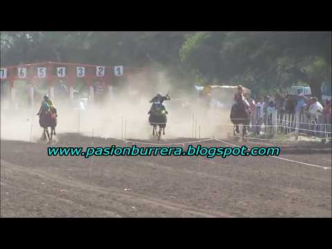 Violento, Pista Pangare - Cruz del Eje (09-12-18)