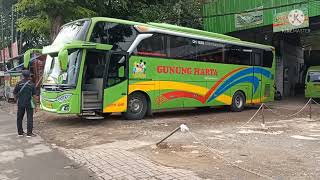 Download lagu hunting akhir tahun dari sarbo HARAPANJAYA D1,MURNIJAYA,ALMIRA,POHARYANTO,STJ, LAJUPRIMA mp3 Download lagu hunting akhir tahun dari sarbo HARAPANJAYA D1,MURNIJAYA,ALMIRA,POHARYANTO,STJ, LAJUPRIMA mp3