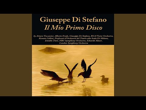 La bohème, Act I: "O soave fanciulla"