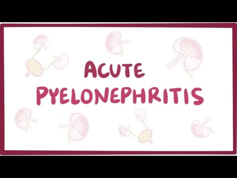 Acute pyelonephritis (urinary tract infection) - causes, symptoms & pathology