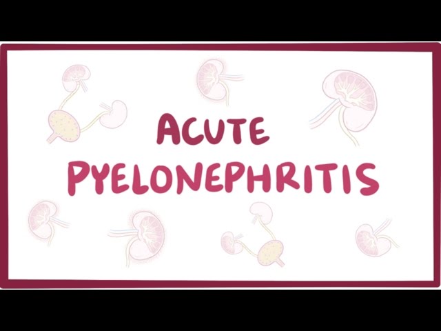 Video pronuncia di urinary tract infection in Inglese