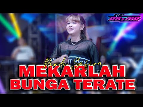 MEKARLAH BUNGA TERATE - RINDI SAFIRA | NEW ASTINA