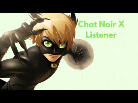 Chat Noir X Reader
