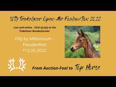 3 - Oka's Magic - Filly by Millennium - Freudenfest *12.05.2022