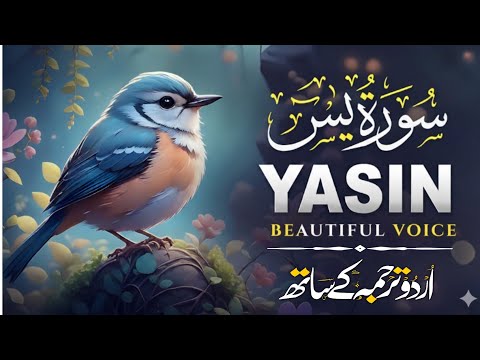 Surah Yaseen Urdu Tarjuma ke Sath | Peaceful Recitation | Episode - 608