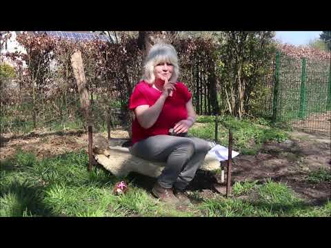 Kinder Kinder 01 Igor der Igel