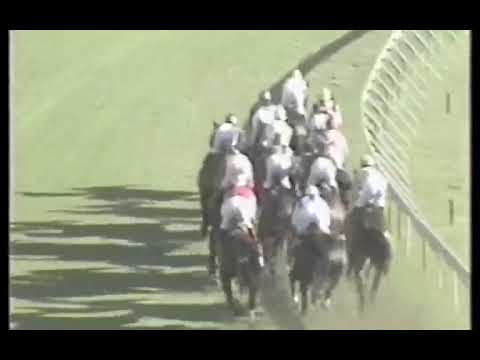 Teal Daily News 2000