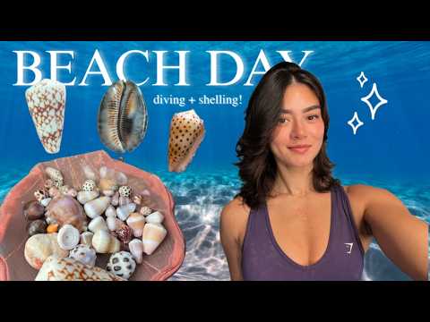 beach day vlog! | shore diving & shelling in hawai'i
