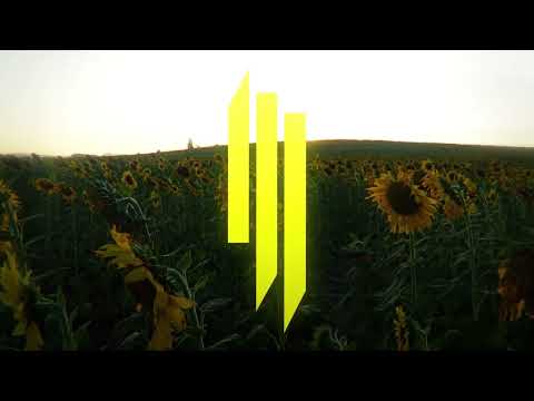 Skrillex, Yung Lean, & Bladee - Ceremony (Ansh Boult Remix)