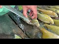 How to clean bluegill fish