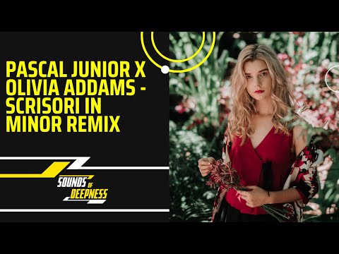 Pascal Junior x Olivia Addams - Scrisori In Minor Remix