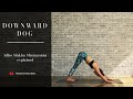 Asana Explained - Downward Facing Dog | Yoga With Sarah White