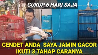 Download lagu 3 TAHAP MENGGACORKAN CENDET CUKUP 6 HARI LANGSUNG JOS, semua msalah (macet, ngembung, mbayi ) tuntas mp3 Download lagu 3 TAHAP MENGGACORKAN CENDET CUKUP 6 HARI LANGSUNG JOS, semua msalah (macet, ngembung, mbayi ) tuntas mp3