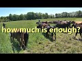 Do We Have Enough Land For Our Cattle