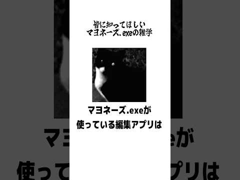 マヨネーズ.exeに関する雑学【本人解説】