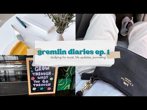 gremlin diaries ep. 1: studying for mcat, catching up, journaling
