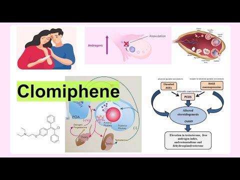 Clomiphene Tablets 50MG, Packaging Size: Strip Of 10 Tabs