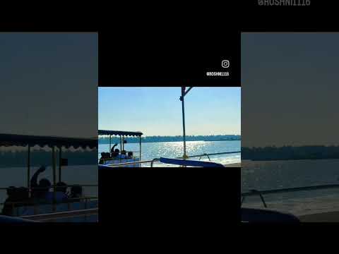 #mangrove_forest #paradise beach