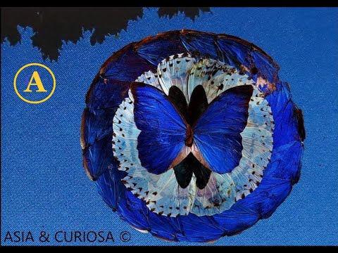 DEBUSSY  - Moonlight -  Clair de lune - Royal Philharmonic Orchestra - Peter Knight - RCA 1963