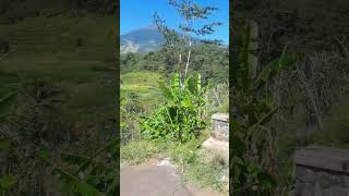 Download lagu MENIKMATI INDAHNYA JALAN PEDESAAN #shorts mp3