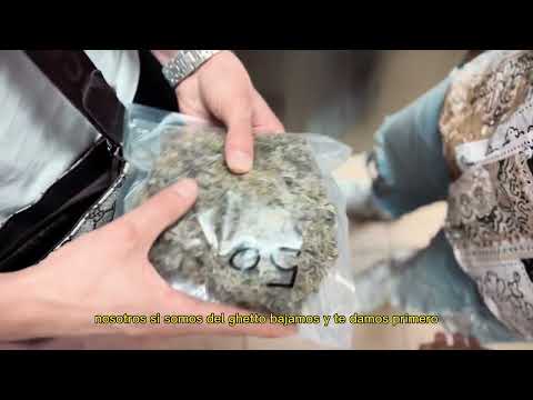 N-Jey - Se Brega (Visualizer)