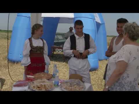 Naše dobro ep.59 06.07.19. Cene višnje na jugu i u Toplici; Žetva; Letnja rezidba breskve; Muzej...