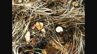 Cliff Martinez - Big Catherine, Little Catherine