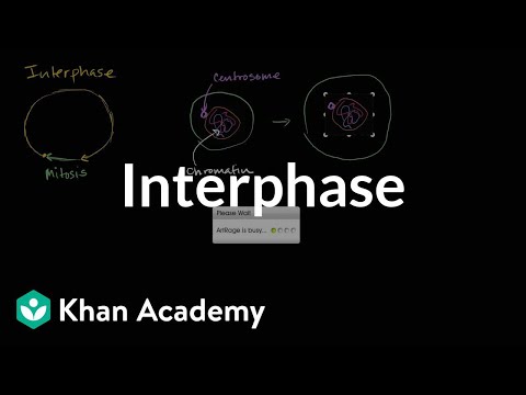 Interphase | Cells | MCAT | Khan Academy