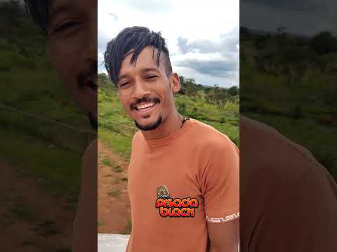 bora #forrozin #piseiro #forro2026 #anapolisgoias #explore #bagaceiro