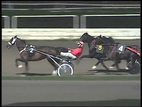 Trotto 04/12/2014 - 6° corsa