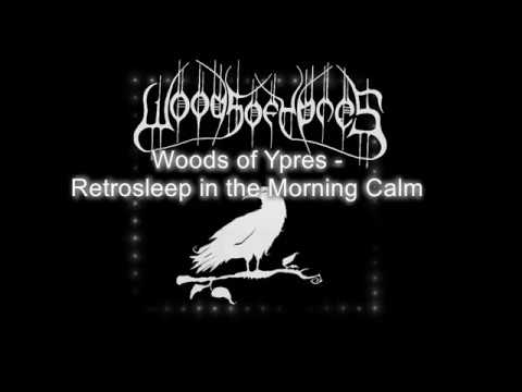 Retrosleep In The Morning Calm video