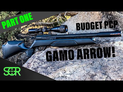 The GAMO Arrow is here! A new budget PCP for the MASSES! - UNBOXING & FIRST TEST SHOTS - part 1 of 3