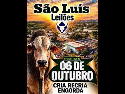 São Luis de Montes Belos - GO   06/10/2026
