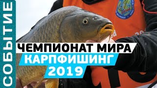 Чемпионат по карповой ловле харьков