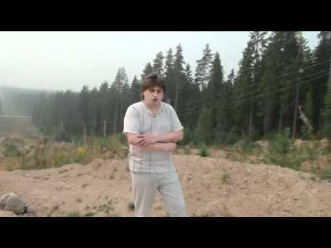 DiscoBonus - Land of cry and fun