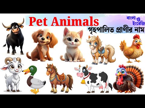 গৃহপালিত প্রাণীর নাম | Domestic Animals Name in Bengali & English | Kids Learning Video | Animals 