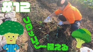#12 無から始める農業 ~ブロッコリー植える~