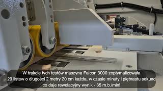 Falcon 3000 optimizing cross-cut saw for sale - Image 2 | Machineryline UG New Falcon 3000 optimizing cross-cut saw | Image 2 - Machineryline