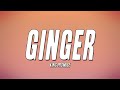 King Promise - Ginger (Lyrics)