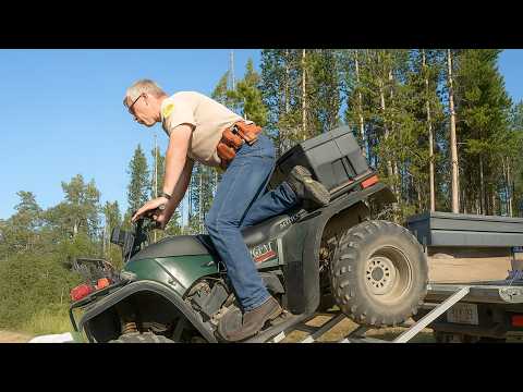 Ein Grizzlybär ist auf freiem Fuß! Wildhüter im Einsatz