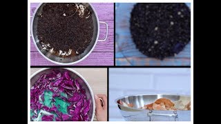 Unusually NATURAL Ways to Dye Your Clothes! | DIY Fashion Hacks 👕