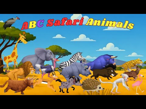 ABC Safari Animals 1TH525 | Alphabet Animals Song for Kids | Kids TV