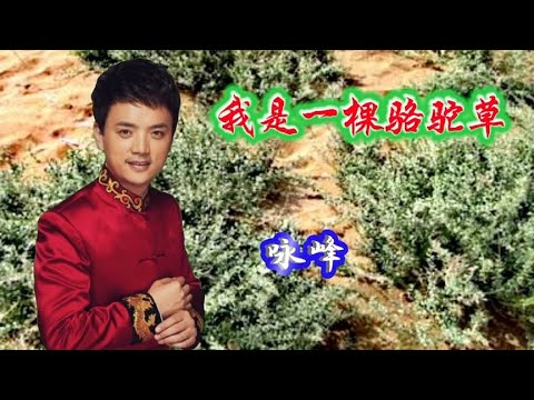 咏峰演唱《我是一棵骆驼草》歌声高亢嘹亮，动人心弦！