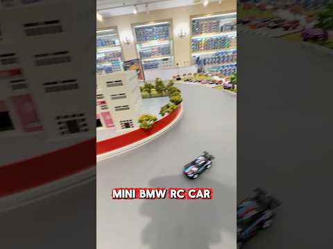 Hgrc HG4-218 1:64 Mini RC Car Dual Mode 2.4G Drift Racing Alloy Remote Control Car
