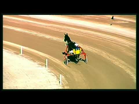 Trotto 10/01/2020 - prova di riqualifica