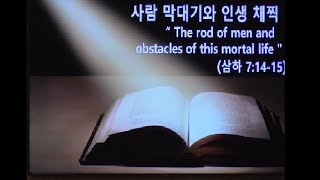 사람 막대기와 인생채찍
