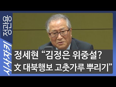 정세현 "김정은 위중설? 文 대북행보 고춧가루 뿌리기"