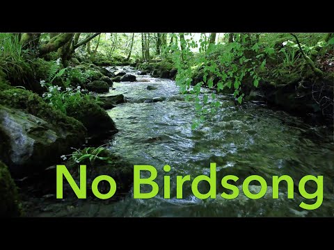 8 Hr Nature Sounds Waterfall River Relaxation Meditation-Relaxing Calm River Water flow for Sleeping