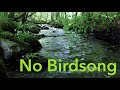 8 Hr Nature Sounds Waterfall River Relaxation Meditation-Relaxing Calm River Water flow for Sleeping