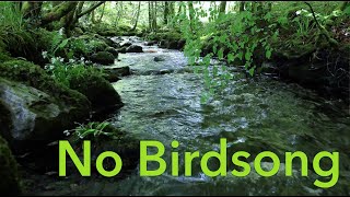 8 Hours Nature Sounds Waterfall River Relaxation Meditation Johnnie Lawson W:O Birdsong Slish Wood S